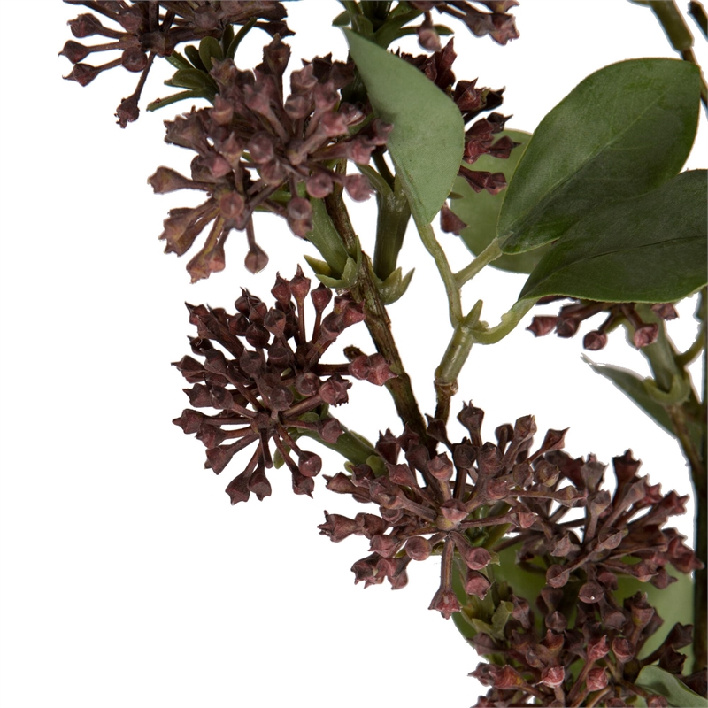 Vickerman 31