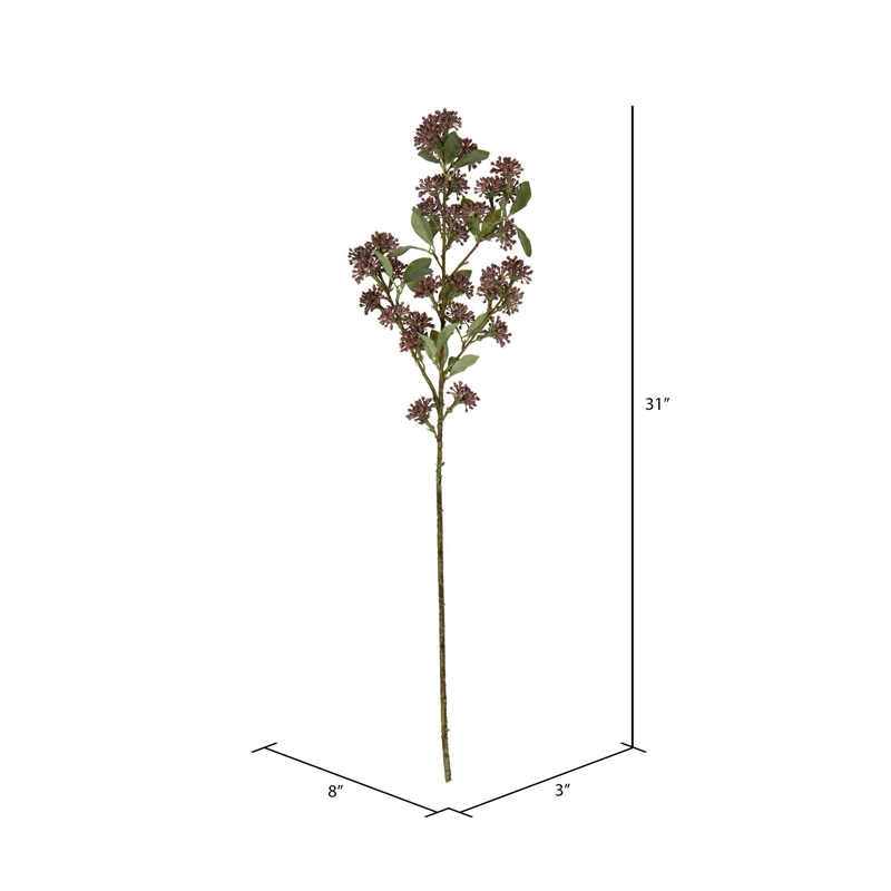 Vickerman 31
