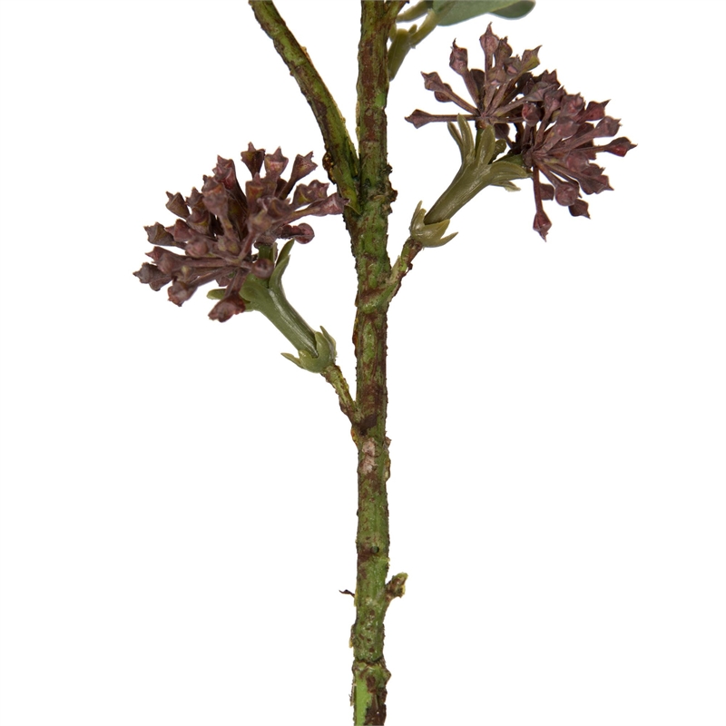 Vickerman 31