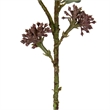 Vickerman 31