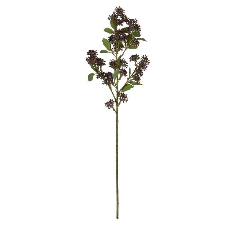 Vickerman 31