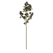 Vickerman 31