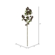 Vickerman 31