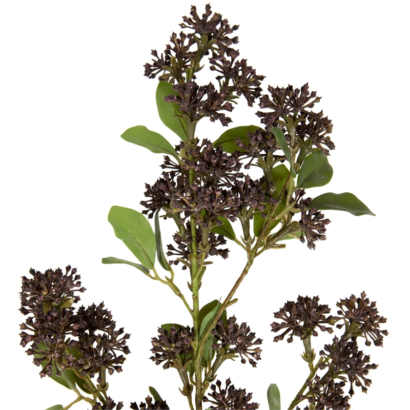 Vickerman 31