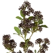Vickerman 31