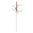 Vickerman 38