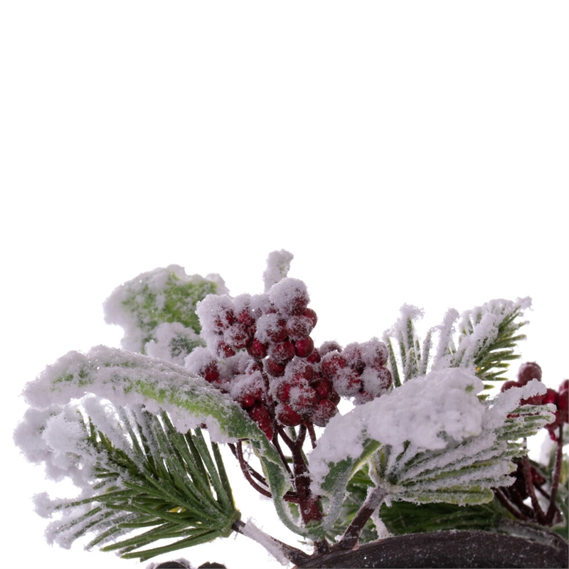 Vickerman 12