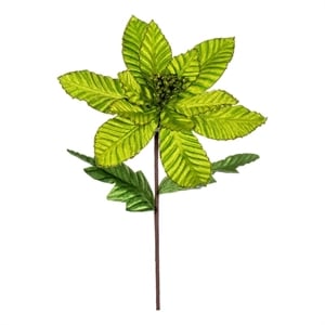 Vickerman 22&quot Velvet Glitter Trim Poinsettia in Lime (6 Per Bag)