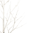 Vickerman 6' White Birch Twig Tree. Warm White 3mm Wide Angle LED lights.