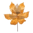Vickerman 11