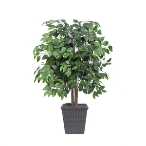 Vickerman 4' Artificial Ficus Bush. Gray Square Plastic Container