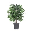 Vickerman 4' Artificial Ficus Bush. Gray Square Plastic Container