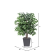 Vickerman 4' Artificial Ficus Bush. Gray Square Plastic Container