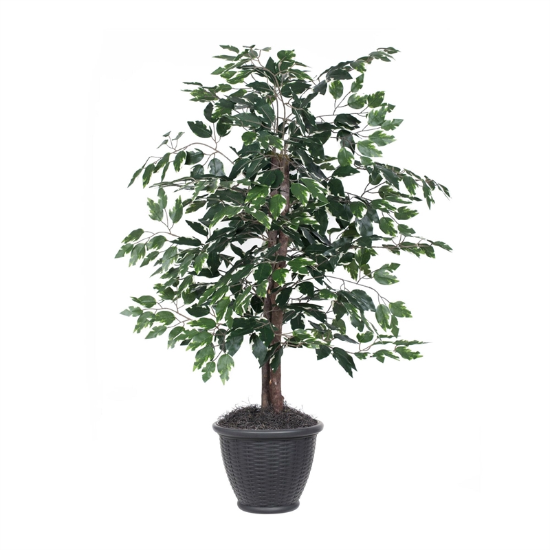 Vickerman 4' Artificial Variegated Ficus Bush. Gray Round Plastic Container.