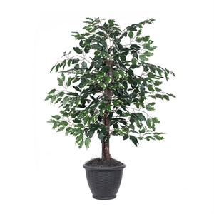Vickerman 4' Artificial Variegated Ficus Bush. Gray Round Plastic Container.
