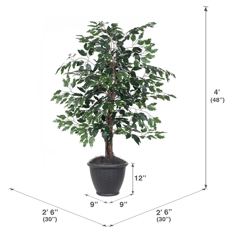 Vickerman 4' Artificial Variegated Ficus Bush. Gray Round Plastic Container.
