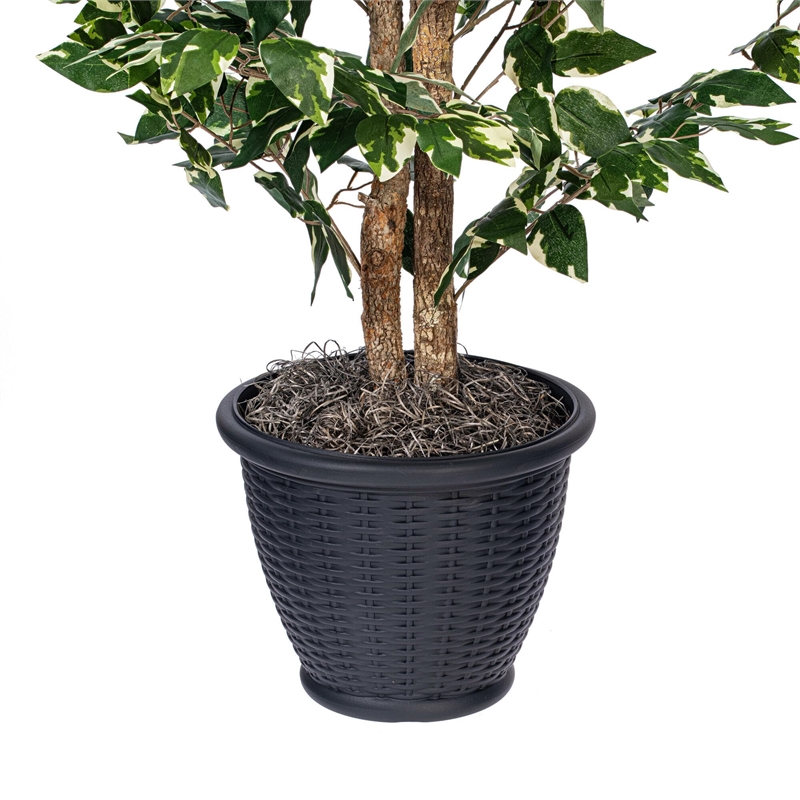 Vickerman 4' Artificial Variegated Ficus Bush. Gray Round Plastic Container.