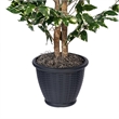 Vickerman 4' Artificial Variegated Ficus Bush. Gray Round Plastic Container.