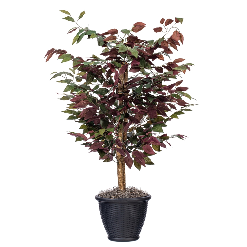 Vickerman 4' Artificial Capensia Bush. Gray Round Plastic Container.