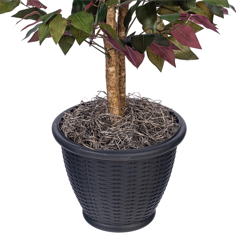 Vickerman 4' Artificial Capensia Bush. Gray Round Plastic Container.