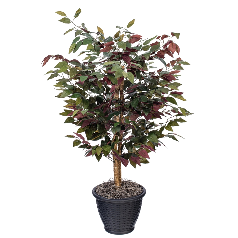 Vickerman 4' Artificial Capensia Bush. Gray Round Plastic Container.