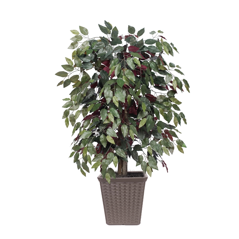 Vickerman 4' Artificial Capensia Bush. Brown Square Plastic Basket.