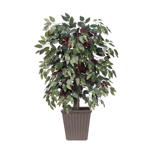 Vickerman 4' Artificial Capensia Bush. Brown Square Plastic Basket.