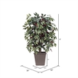 Vickerman 4' Artificial Capensia Bush. Brown Square Plastic Basket.