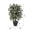 Vickerman 4' Artificial Capensia Bush. Gray Square Plastic Container
