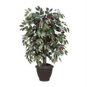 Vickerman 4' Artificial Capensia Bush. Gray Square Plastic Container