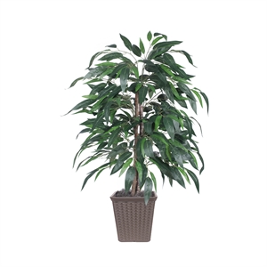 Vickerman 4' Artificial Mango Bush. Brown Square Plastic Container