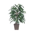 Vickerman 4' Artificial Mango Bush. Brown Square Plastic Container