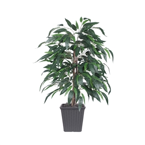 Vickerman 4' Artificial Mango Bush. Gray Square Plastic Container