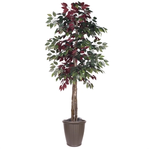 Vickerman 6' Artificial Capensia Deluxe Tree. Brown Round Plastic Container.