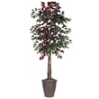 Vickerman 6' Artificial Capensia Deluxe Tree. Brown Round Plastic Container.