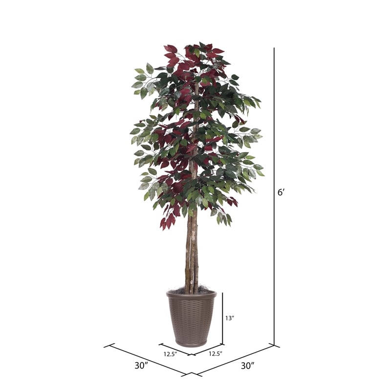 Vickerman 6' Artificial Capensia Deluxe Tree. Brown Round Plastic Container.