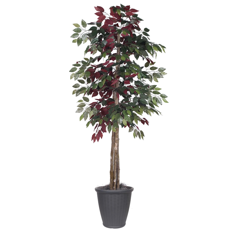 Vickerman 6' Artificial Capensia Deluxe Tree. Gray Round Plastic Container.