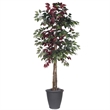 Vickerman 6' Artificial Capensia Deluxe Tree. Gray Round Plastic Container.