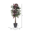 Vickerman 6' Artificial Capensia Deluxe Tree. Gray Round Plastic Container.