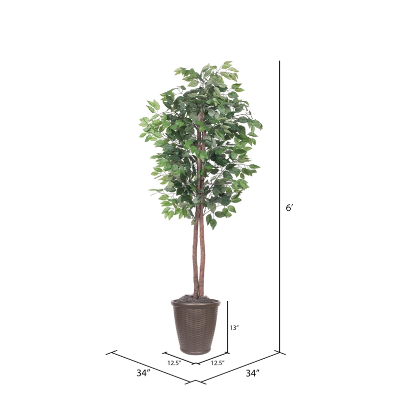 Vickerman 6' Artificial Ficus Tree. Brown Round Plastic Container.