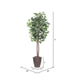 Vickerman 6' Artificial Ficus Tree. Brown Round Plastic Container.