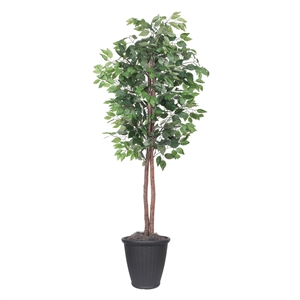 Vickerman 6' Artificial Ficus Tree. Gray Round Plastic Container.