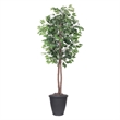Vickerman 6' Artificial Ficus Tree. Gray Round Plastic Container.