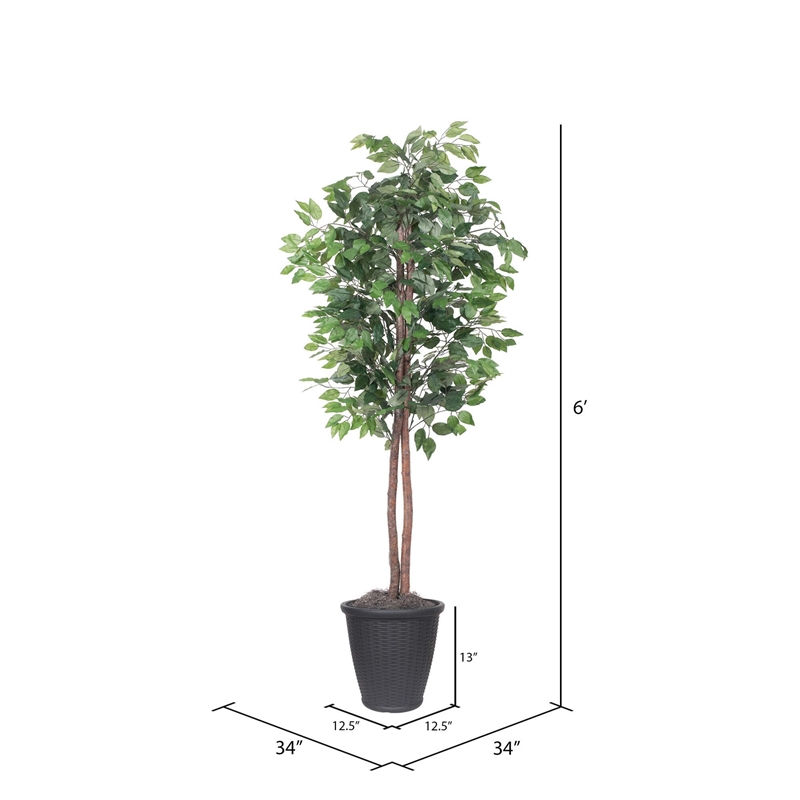 Vickerman 6' Artificial Ficus Tree. Gray Round Plastic Container.