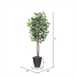 Vickerman 6' Artificial Ficus Tree. Gray Round Plastic Container.