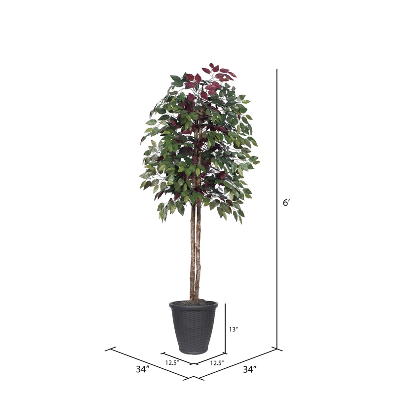 Vickerman 6' Artificial Capensia Tree. Gray Round Plastic Container.