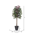 Vickerman 6' Artificial Capensia Tree. Gray Round Plastic Container.