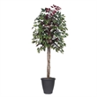 Vickerman 6' Artificial Capensia Tree. Gray Round Plastic Container.