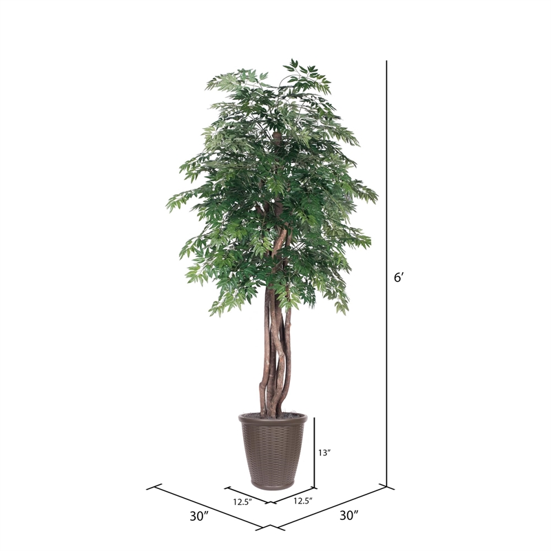 Vickerman 6' Artificial Ming Aralia Executive Tree. Brown Round Container