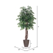 Vickerman 6' Artificial Ming Aralia Executive Tree. Brown Round Container